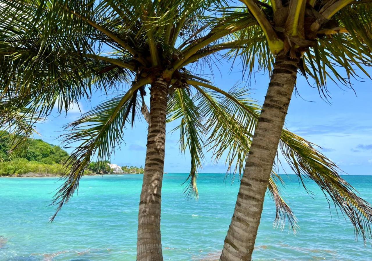 Casabeau Piscine Citerne Vue Mer 哥西尔 外观 照片
